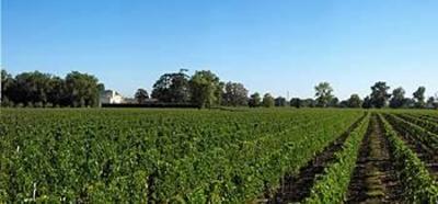 фото отеля Kyriad Libourne Saint Emilion Hotel