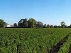 фото отеля Kyriad Libourne Saint Emilion Hotel