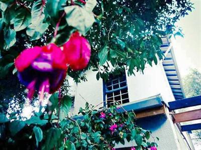 фото отеля CityLights Hostel