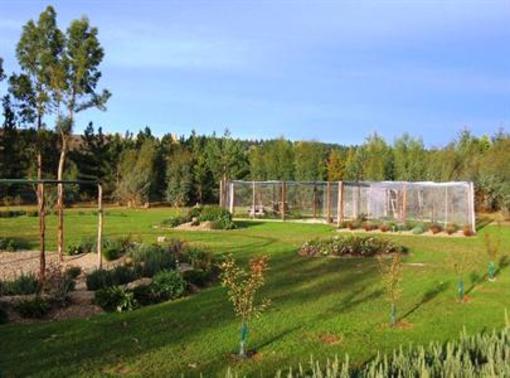 фото отеля Mirabell Chalets