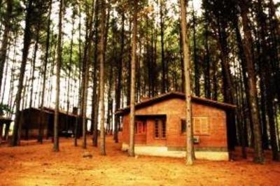 фото отеля Hotel Fazenda Pinus Parque