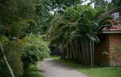 фото отеля Aayukshetram Ayurvedic Health Resort