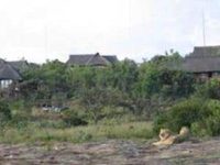 Hotel Mhondoro Lodge