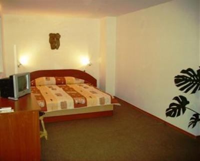 фото отеля Hotel Orka
