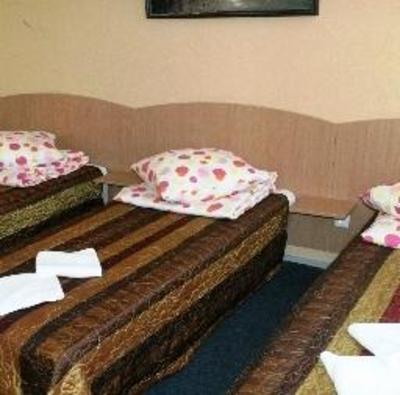 фото отеля Vaivorykste Hotel
