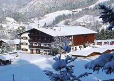 фото отеля Haidachhof Pension Reith im Alpbachtal