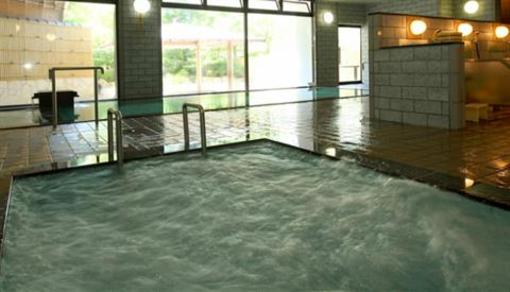 фото отеля Hotel Ohashi Yakatanoyu