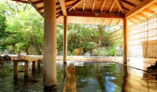 фото отеля Hotel Ohashi Yakatanoyu
