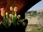 фото отеля La Badia di Orvieto