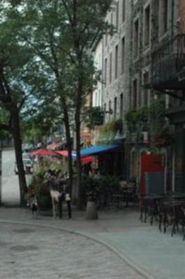 фото отеля Quality Suites Quebec City