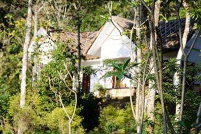 фото отеля Cardamom Club Plantation Resort Thekkady