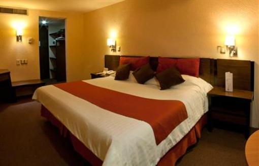 фото отеля Hotel Real Plaza San Luis Potosi