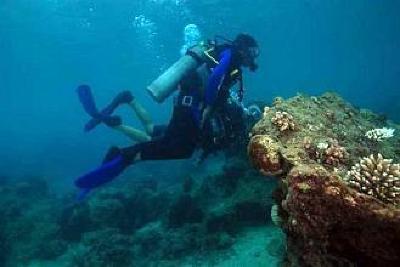 фото отеля Blue Ribbon Divers & Sunsplash Resort Puerto Galera