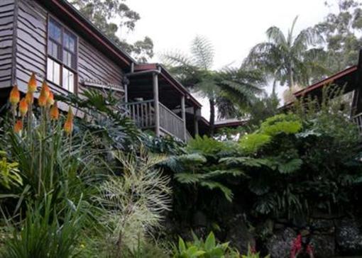фото отеля Tamborine Mountain Bed & Breakfast