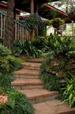 фото отеля Tamborine Mountain Bed & Breakfast