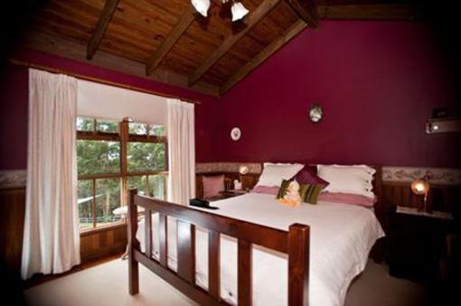 фото отеля Tamborine Mountain Bed & Breakfast