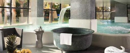 фото отеля Crowne Plaza Estepona-Costa del Sol