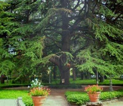 фото отеля Grand Hotel Terme Riolo Terme