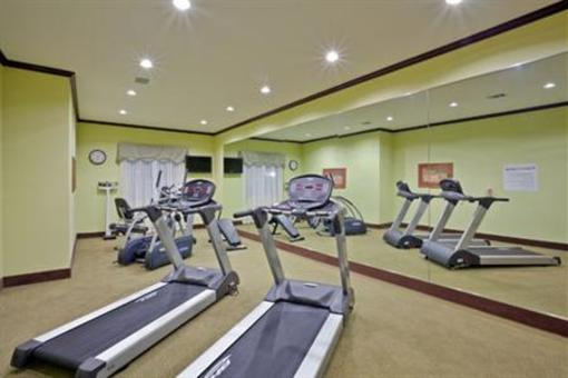 фото отеля Holiday Inn Express Hotel & Suites Dumas