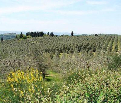 фото отеля Torre di Ponzano - Chianti area - Tuscany -
