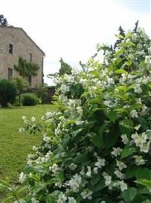 фото отеля Torre di Ponzano - Chianti area - Tuscany -