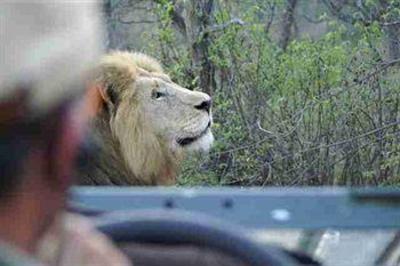 фото отеля Shumbalala Game Lodge Hoedspruit