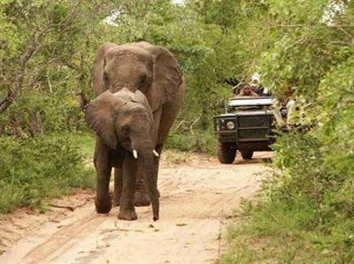 фото отеля Shumbalala Game Lodge Hoedspruit