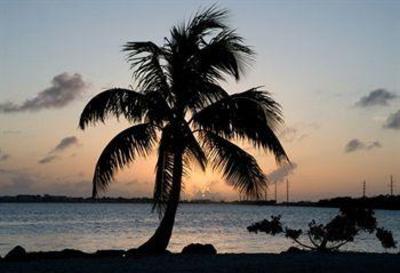 фото отеля Conch Key Cottages