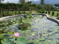 Upcountry Bungalows