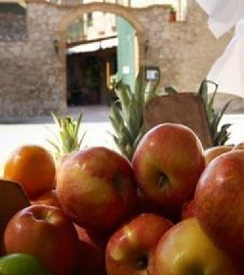 фото отеля Can Ceret