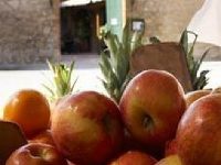 Can Ceret
