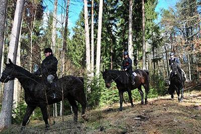 фото отеля Folwark Zamkowy