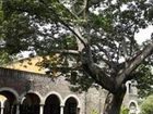 фото отеля Hacienda San Antonio El Puente Hotel Xochitepec