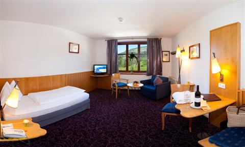 фото отеля Sporthotel Wagrain