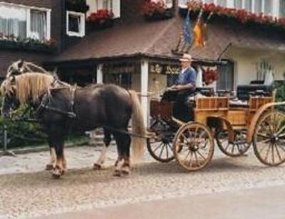 фото отеля Sassenhof