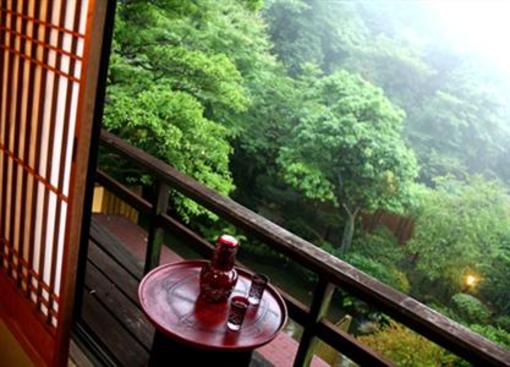 фото отеля Toyokan Bekkan Shinyu Hotel
