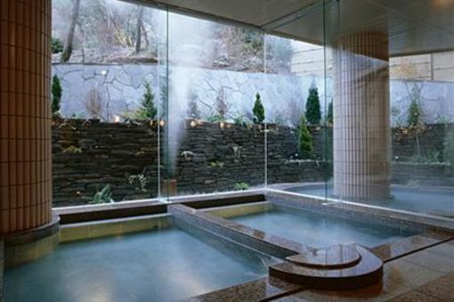 фото отеля Toyokan Bekkan Shinyu Hotel