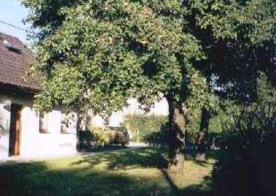 фото отеля Gastehaus Apfelbaum
