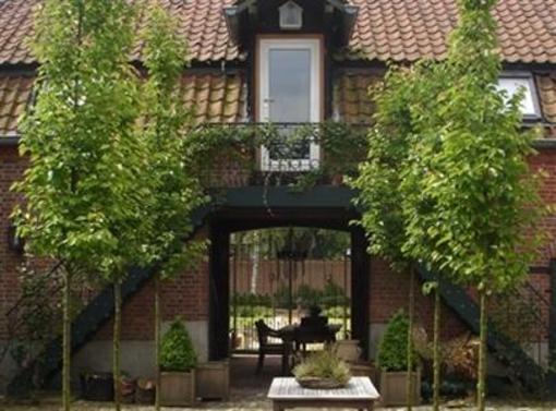 фото отеля Casa Ciolina
