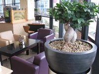 Ibis Leicester
