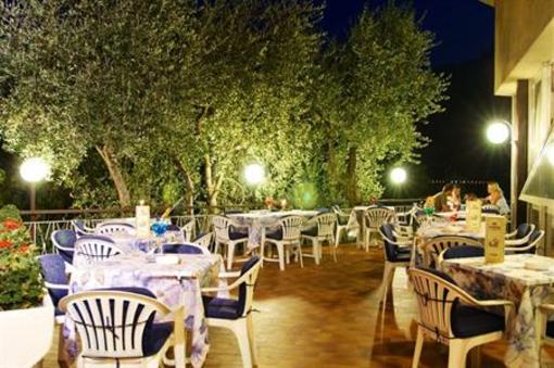 фото отеля Hotel Garden Limone sul Garda
