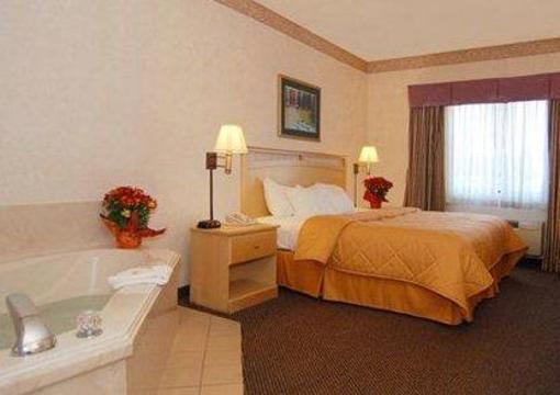 фото отеля Comfort Inn & Suites Covington