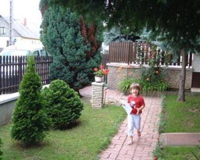 фото отеля An-Di Vendeghaz