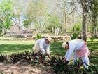 фото отеля The Lodge at Uxmal