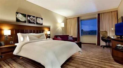фото отеля Hilton Garden Inn Mardin