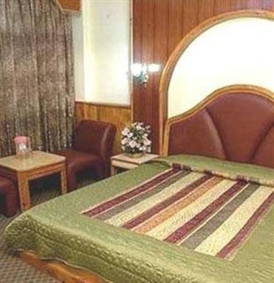 фото отеля Hotel Jupiter Manali