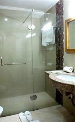 фото отеля Hotel Jupiter Manali