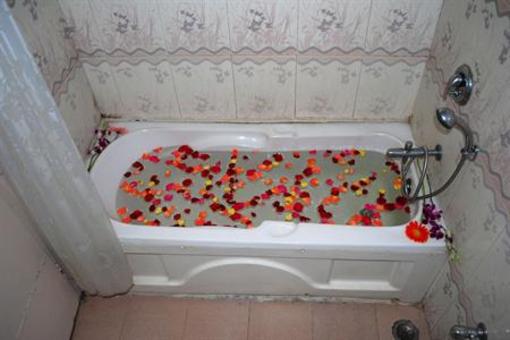 фото отеля Manali Inn