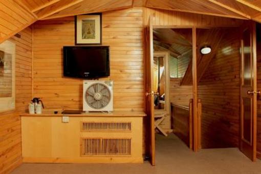 фото отеля Manali Inn