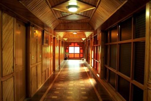 фото отеля Manali Inn
